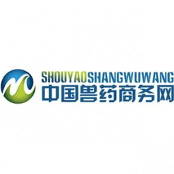 計算機軟硬件技術開發 企業核心競爭力的構建與未來展望